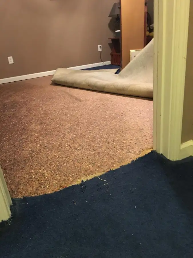 Carpet pad removal revealing water damage during Water Mitigation Services in Towamencin