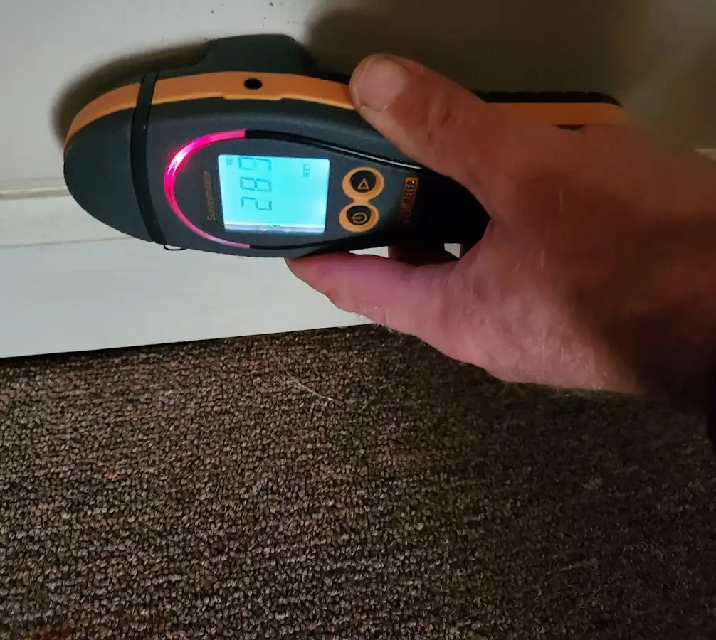 Moisture detection at baseboard during Sewage Cleanup & Sanitation in Towamencin